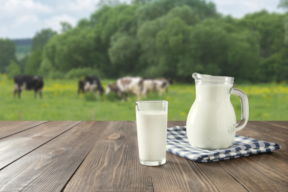 Napoje roślinne nie są odpowiednią alternatywą dla mleka!